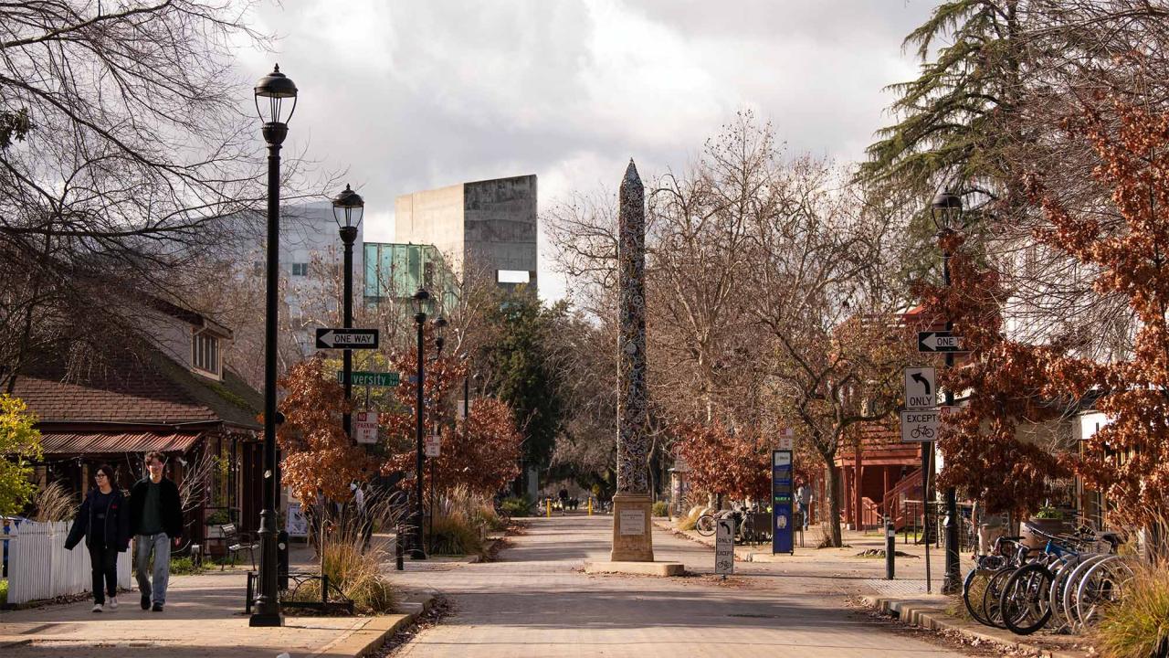 Image of a pedestrian street with two students walking on the left, bikes on the right