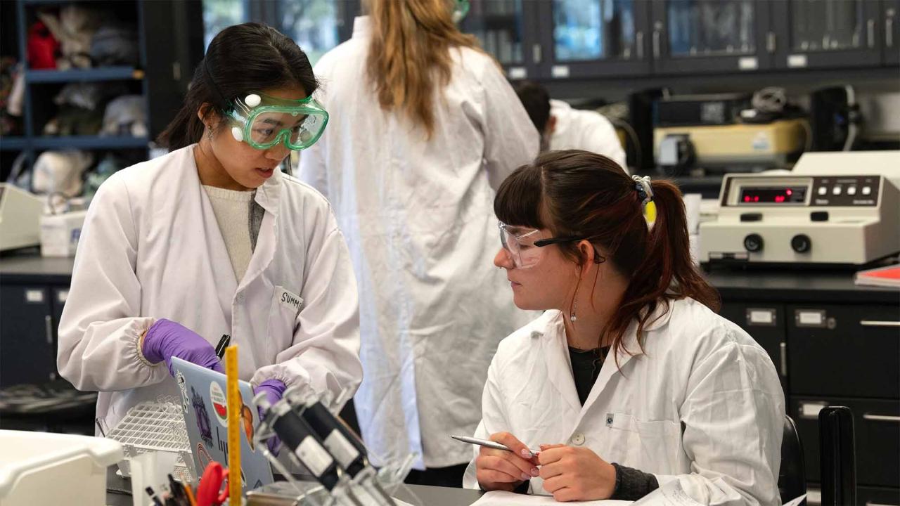 Two graduate students dressed in white labs coats work together in a science lab. 