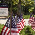 136 flags planted on the lawn of the Memorial Union, one to represent each of the Aggies who gave their lives in the line of service.