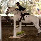 An equestrian student in a blue jacket riding a white-gray horse leaping over an obstacle