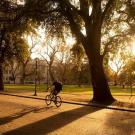 A student rides a scooter northbound and a student rides a bicycle southbound along East Quad as the sun sets bathing the area in gold light over the green grass and Shields Library in the backdrop and long shadows cast by the oak trees